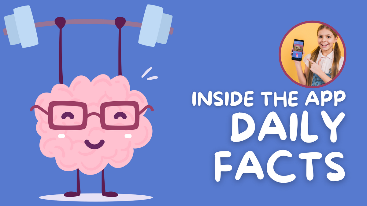 Inside The App: Daily Facts