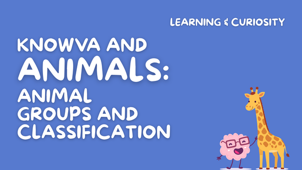 Knowva and Animals: Animal Groups and Classification