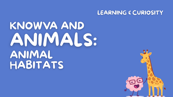 Knowva and Animals: Animal Habitats