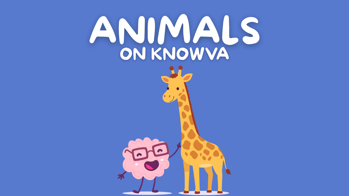 Animals on Knowva 