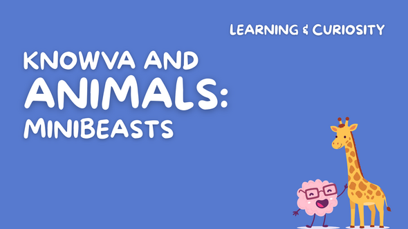 Knowva and Animals: Minibeasts